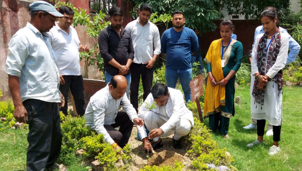 पर्यावरण की बेहतरी के लिए पेड़ पौधे लगाकर हम सब इसे बचाने एवं इसको संरक्षित करने का लें संकल्प,,,मेयर