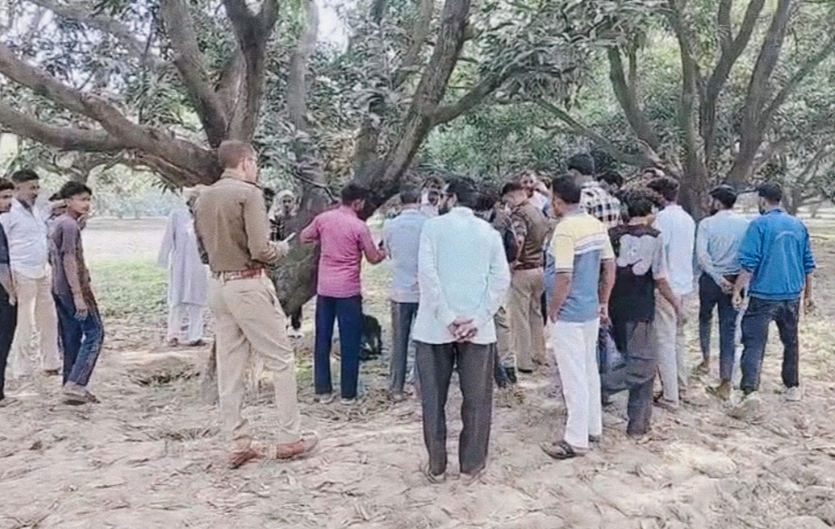 आम के पेड़ से लटका मिला अज्ञात युवक का शव, इलाके में फैली सनसनी,,,