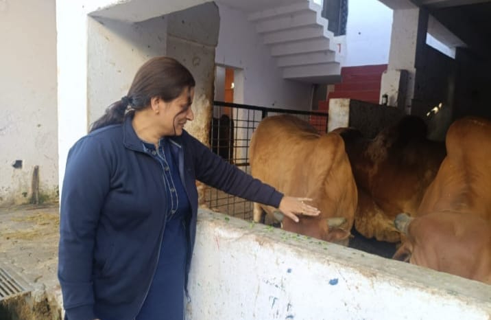 दिल्ली रोहिणी की रहने वाली रूड़की की बेटी रक्तवीर सोनिया गोयल ने गौशाला में पहुंचकर की गौ माता की सेवा,,,