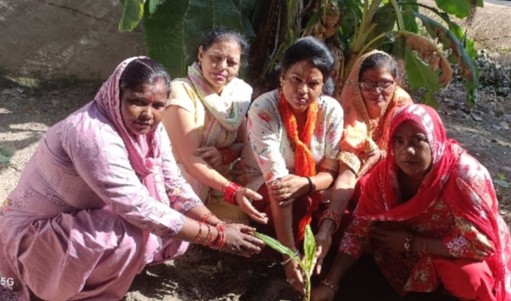 एक पेड़ उन लावारिस मृतकों के नाम,जिनके आपने भी आखिरी समय में उनके साथ नहीं थे,क्रांतिकारी शालू सैनी,,,